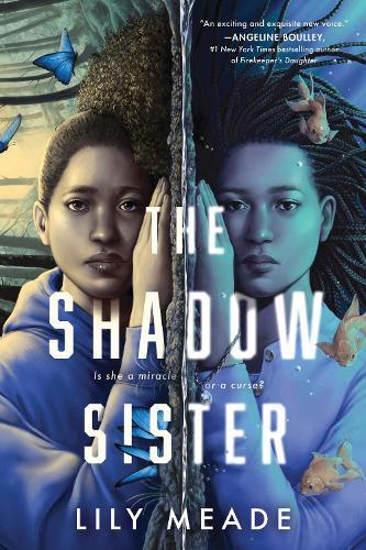 The Shadow Sister  by Lily Meade at Abbey's Bookshop, 