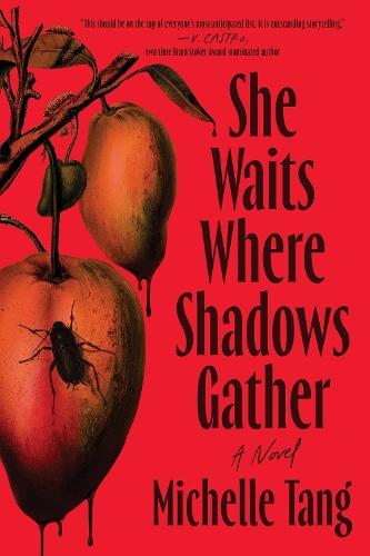 She Waits Where Shadows Gather: A Novel  by Michelle Tang at Abbey's Bookshop, 