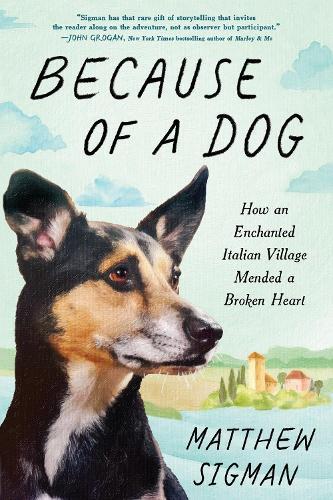 Because of a Dog: How an Enchanted Italian Village Mended a Broken Heart  by Matthew Sigman at Abbey's Bookshop, 