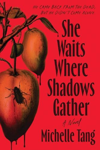 She Waits Where Shadows Gather  by Michelle Tang at Abbey's Bookshop, 