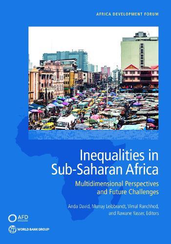 Inequalities in Sub-Saharan Africa: Multidimensional Perspectives and Future Challenges  by Anda David at Abbey's Bookshop, 