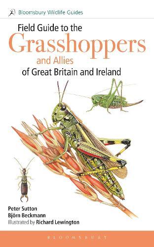 Butterflies and Moths: Explore Nature with Fun Facts and Activities