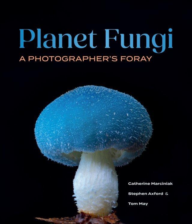 Planet Fungi: A Photographer's Foray  by Catherine Marciniak at Abbey's Bookshop, 