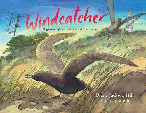 Windcatcher: Migration of the Short-tailed Shearwater  by Diane Jackson Hill at Abbey's Bookshop, 