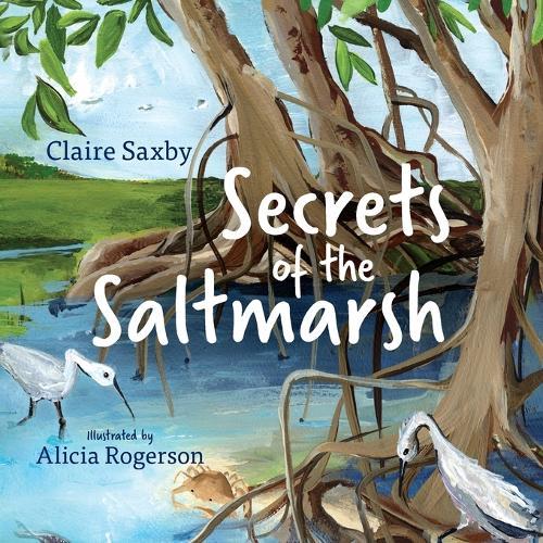 Secrets of the Saltmarsh  by Claire Saxby at Abbey's Bookshop, 