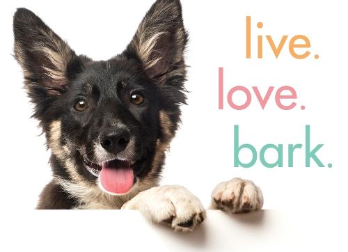 Live. Love. Bark.  by Sourcebooks at Abbey's Bookshop, 