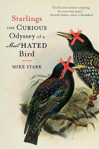 Starlings: The Curious Odyssey of a Most Hated Bird  by Mike Stark at Abbey's Bookshop, 