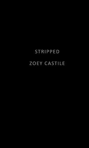Stripped  by Zoey Castile at Abbey's Bookshop, 