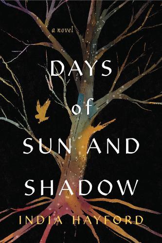 Days of Sun and Shadow  by India Hayford at Abbey's Bookshop, 