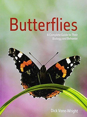 The Butterfly: Flights of Enchantment