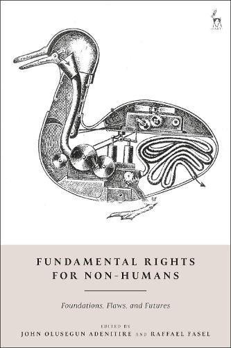Fundamental Rights for Non-Humans: Foundations, Flaws, and Futures