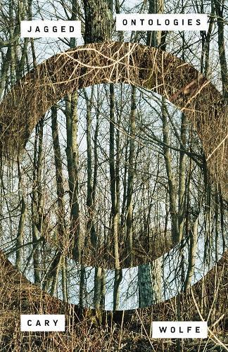 Gratifying Transitions: Maintaining Wellbeing in the Face of Climate Change
