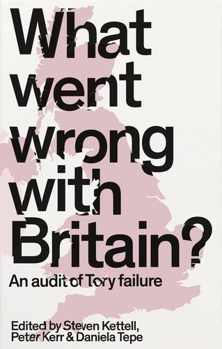 What Went Wrong with Britain?: An Audit of Tory Failure  by Steven Kettell at Abbey's Bookshop, 