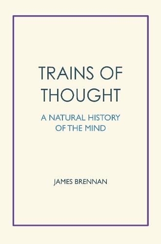 Critical Mindfulness: Exploring Langerian Models