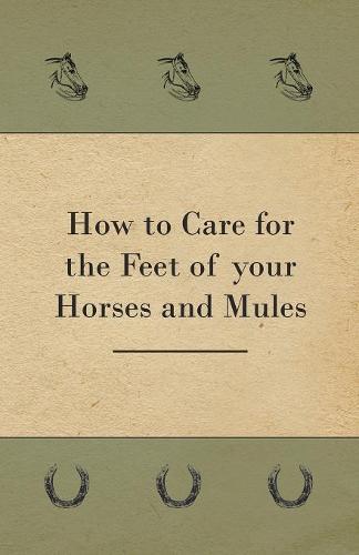 Legs of the Horse, Their Accidents and Diseases - Containing Extracts from Livestock for the Farmer and Stock Owner
