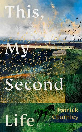 This, My Second Life  by Patrick Charnley at Abbey's Bookshop, 