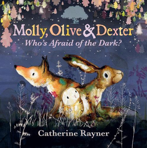 Molly, Olive and Dexter: Who's Afraid of the Dark?  by Catherine Rayner at Abbey's Bookshop, 