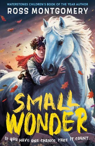 Small Wonder: The brand-new exciting adventure for 9-12-year-olds from the award-winning, bestselling author of I Am Rebel  by Ross Montgomery at Abbey's Bookshop, 