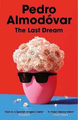The Last Dream  by Pedro Almodóvar at Abbey's Bookshop, 