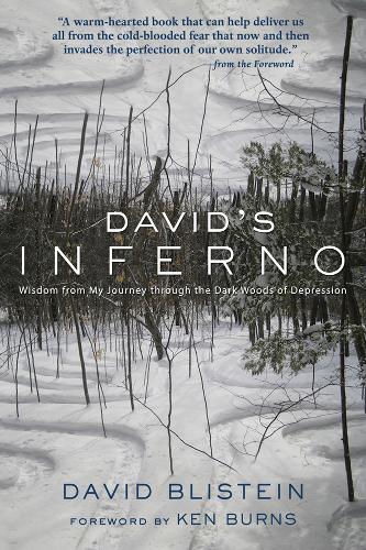 David's Inferno: Wisdom from My Journey through the Dark Woods of Depression  by David Blistein at Abbey's Bookshop, 