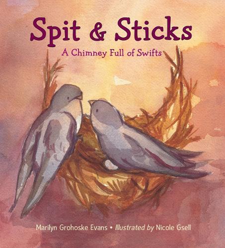Spit & Sticks: A Chimney Full of Swifts  by Marilyn Grohoske Evans at Abbey's Bookshop, 