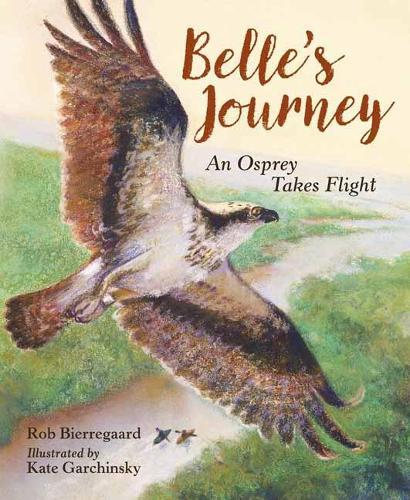 Belle's Journey  by Rob Bierregaard at Abbey's Bookshop, 