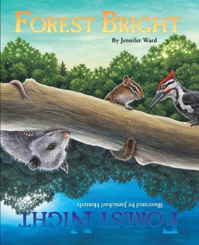 Forest Bright, Forest Night  by Jamichael Henterly at Abbey's Bookshop, 