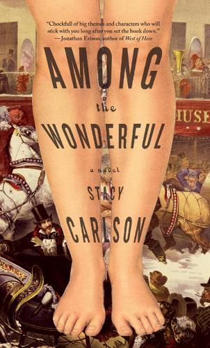 Among The Wonderful: A Novel  by Stacy Carlson at Abbey's Bookshop, 