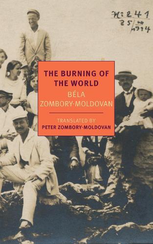 The Burning Of The World  by Bela Zombory-Moldovan at Abbey's Bookshop, 