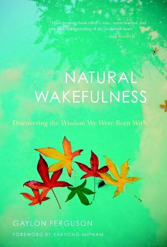Natural Wakefulness: Discovering the Wisdom We Were Born With  by Gaylon Ferguson at Abbey's Bookshop, 