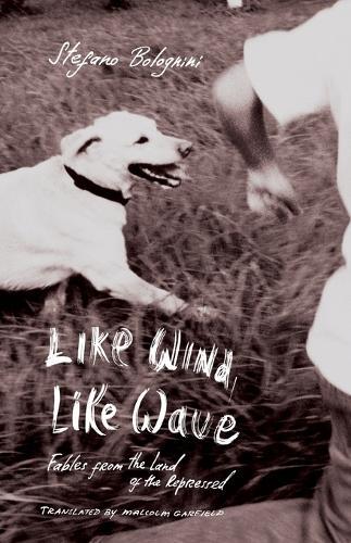 Like Wind, Like Wave  by Stefano Bolognini at Abbey's Bookshop, 