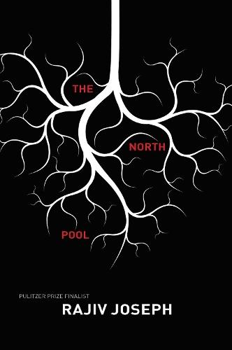 The North Pool  by Rajiv Joseph at Abbey's Bookshop, 