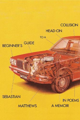 Beginner's Guide to a Head-On Collision  by Sebastian Matthews at Abbey's Bookshop, 