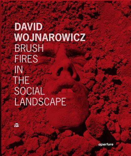 David Wojnarowicz: Brush Fires in the Social Landscape  by David Wojnarowicz at Abbey's Bookshop, 