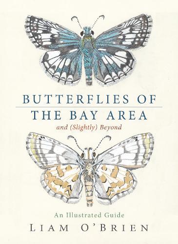 Butterflies of the Bay Area and (Slightly) Beyond: An Illustrated Guide  by Liam O'Brien at Abbey's Bookshop, 