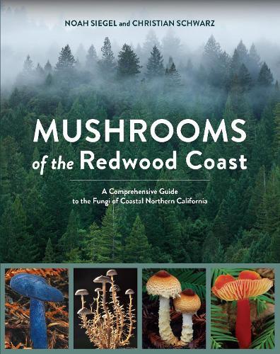 Mushrooms of the Redwood Coast: A Comprehensive Guide to the Fungi of Coastal Northern California  by Noah Siegel at Abbey's Bookshop, 