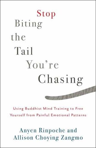 Stop Biting the Tail You're Chasing: Using Buddhist Mind Training to Free Yourself from Painful Emotional Patterns  by Anyen Rinpoche at Abbey's Bookshop, 