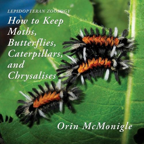 Lepidopteran Zoology: How to Keep Moths, Butterflies, Caterpillars, and Chrysalises  by Orin McMonigle at Abbey's Bookshop, 