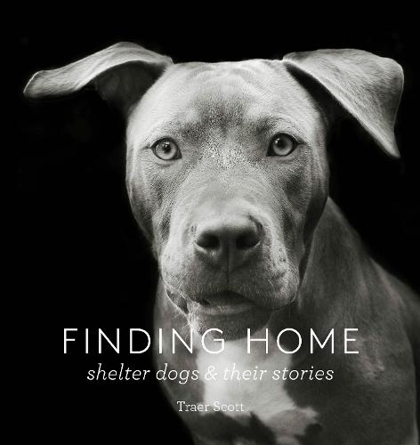 Finding Home: Shelter Dogs and Their Stories  by Traer Scott at Abbey's Bookshop, 