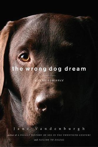 The Wrong Dog Dream: A True Romance  by Jane Vandenburgh at Abbey's Bookshop, 