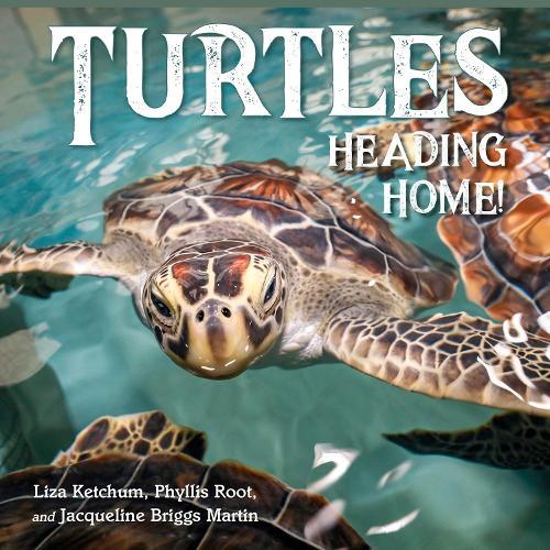 Turtles Heading Home!  by Liza Ketchum at Abbey's Bookshop, 