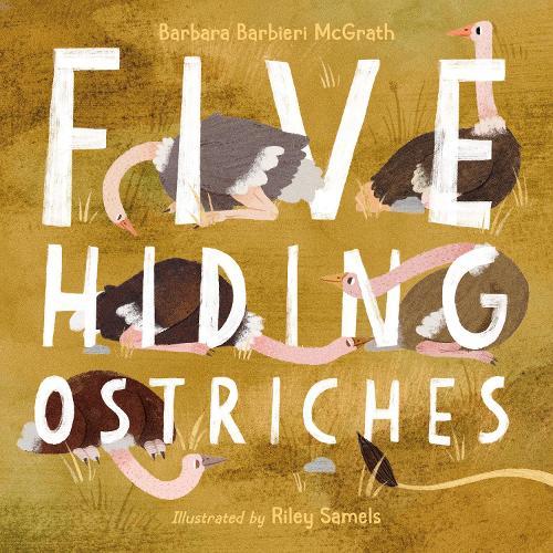 Five Hiding Ostriches  by Barbara Barbieri McGrath at Abbey's Bookshop, 