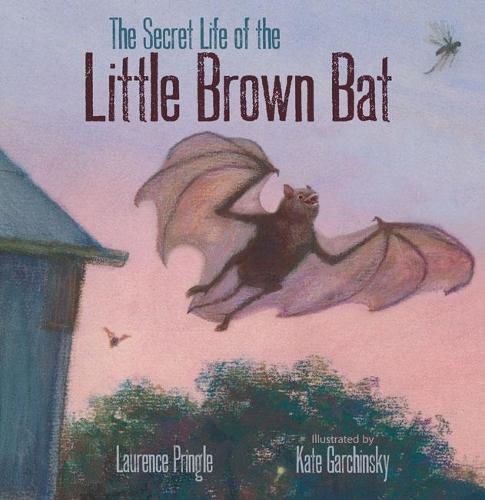 The Secret Life of the Little Brown Bat  by Laurence Pringle at Abbey's Bookshop, 