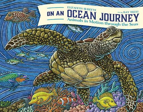 On An Ocean Journey: Animals in Motion through the Seas  by Elizabeth Shreeve at Abbey's Bookshop, 