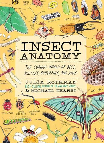 Insect Anatomy: The Curious World of Bees, Beetles, Butterflies, and Bugs  by Julia Rothman at Abbey's Bookshop, 