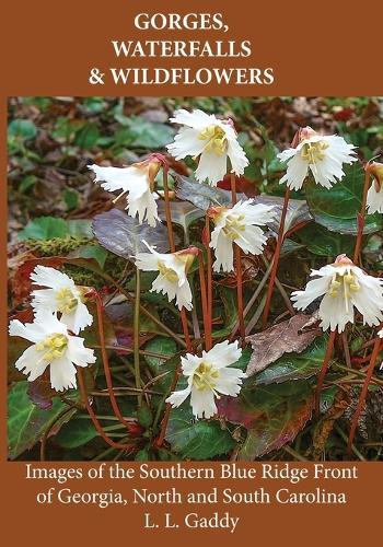 Gorges, Waterfalls & Wildflowers  by L L Gaddy at Abbey's Bookshop, 