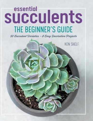 Essential Succulents  by Ken Shelf at Abbey's Bookshop, 