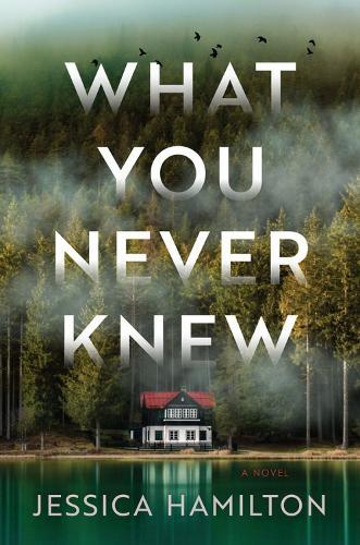 What You Never Knew: A Novel  by Jessica Hamilton at Abbey's Bookshop, 