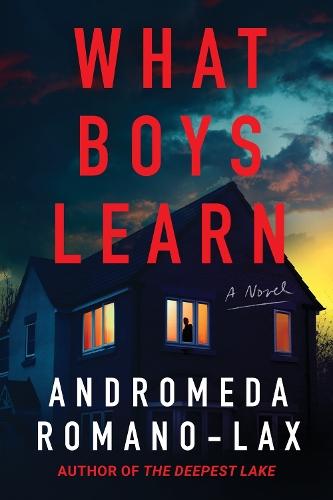 What Boys Learn  by Andromeda Romano-Lax at Abbey's Bookshop, 