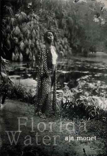 Florida Water: Poems  by aja monet at Abbey's Bookshop, 